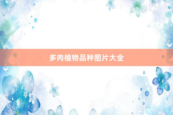 多肉植物品种图片大全