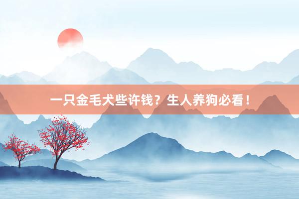 一只金毛犬些许钱？生人养狗必看！